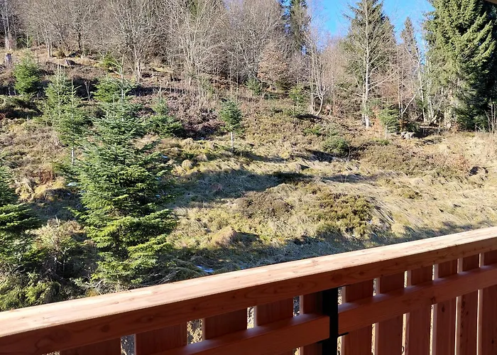 Sesselalpe Appartamento *